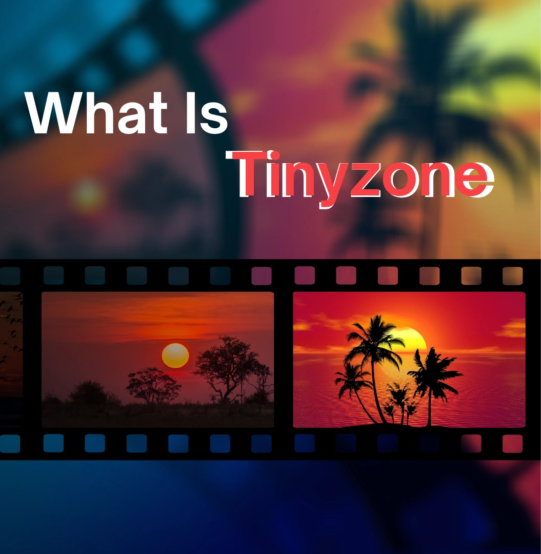 What is Tinyzone